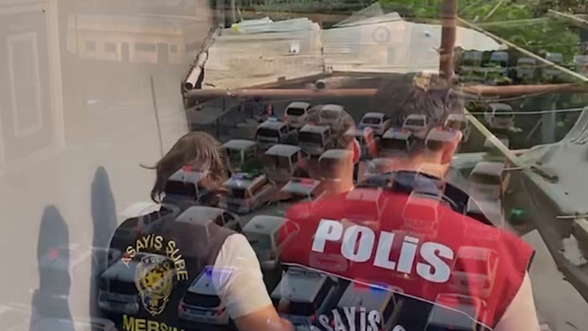 23 İlde Dev Dolandırıcılık Operasyonu: 307 Şüpheli Yakalandı