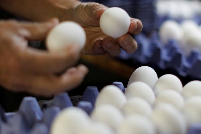 ABD'de Salmonella Endişesi: Milyonlarca Yumurta İçin Geri Çağırma Kararı