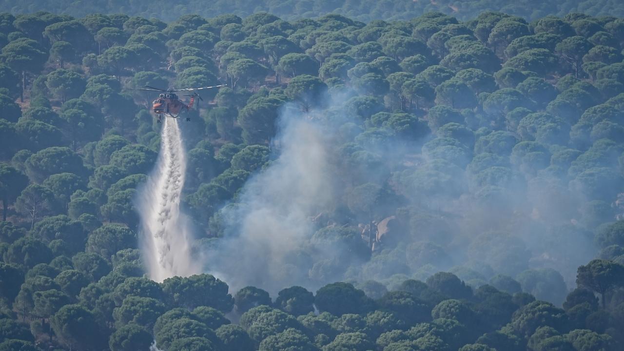Adalet Bakanlığı Duyurdu: Orman Yangınları Soruşturmalarında 9 Tutuklama