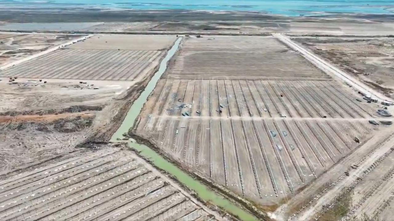 Adana Karataş’ta Modern Tarım Hamlesi: 5 Bin Kişilik İstihdam Kapısı