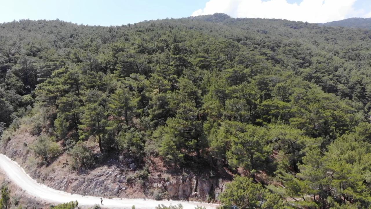 Aksaray'da Orman Yangınlarına Karşı Önlem: Ormanlık Alanlara Girişler Yasaklandı