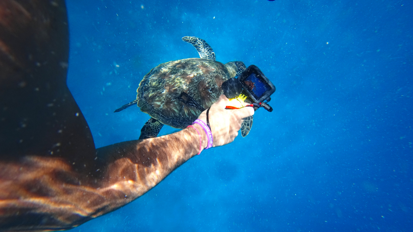 Aksiyon Kamerası Devri Bitiyor mu? GoPro Çinli Rakiplerine Yenildi, Satılıyor!