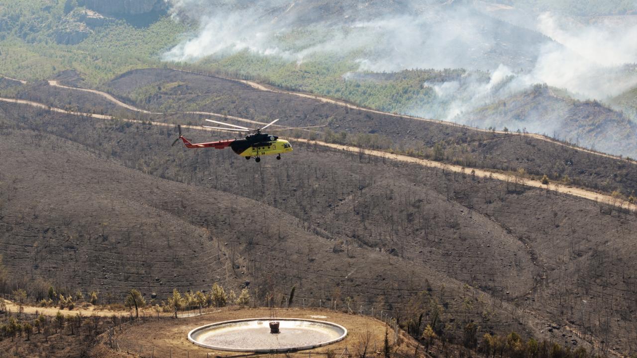 Antalya'da Orman Yangını: Havadan ve Karadan Müdahale Sürüyor