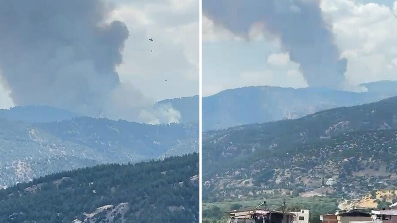 Aydın Kuyucak'ta Orman Yangını: Ekipler Alevlerle Mücadele Ediyor