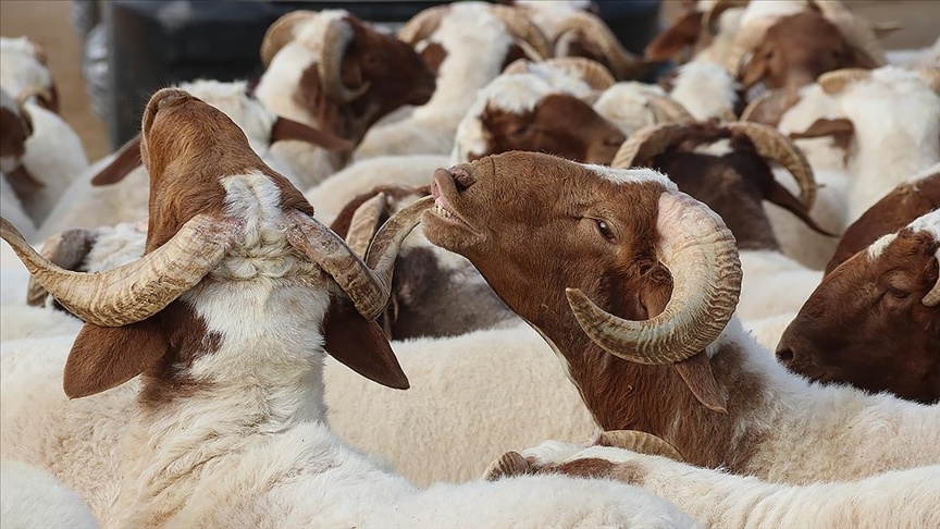 Bayram Tatili Müjdesi! 9 Günlük Keyif Başlıyor Mu? İşte Merakla Beklenen Tarihler!