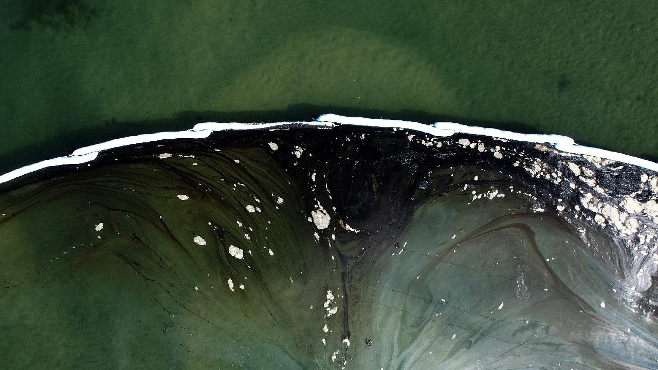 Belçika'da Korkunç Kaza! Anvers Limanı Alarmda: Gemi Trafiği Felç Oldu!