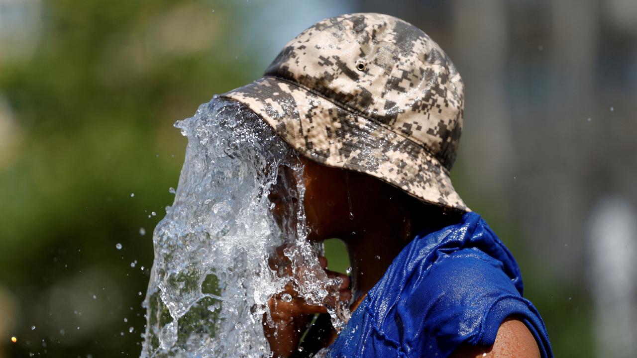 Belçika'da Sıcak Hava Dalgası: Aşırı Sıcaklara Bağlı Ölüm Sayısı 2 Bini Aştı