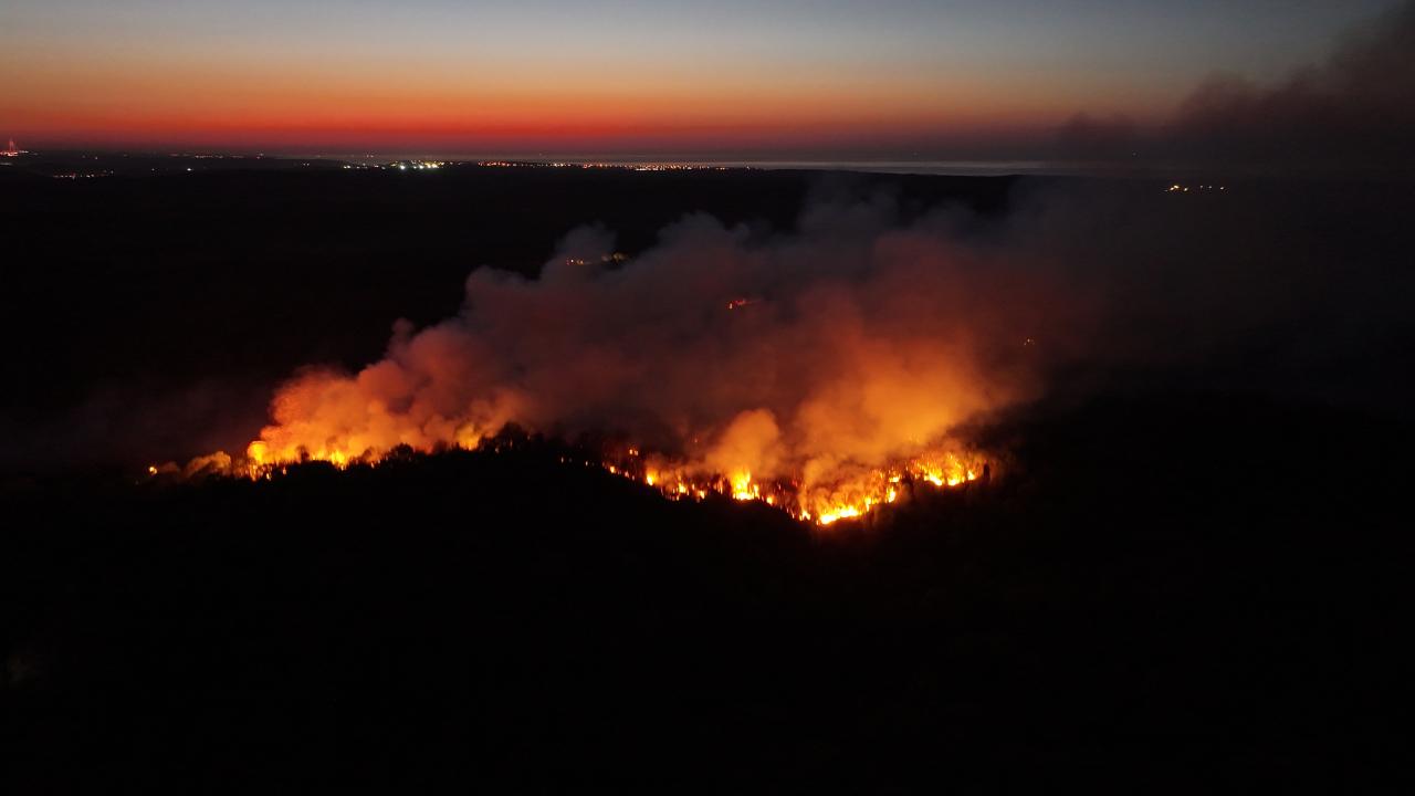 Beykoz'da Yangın Alarmı! Alevler Kontrolden Çıktı Mı?