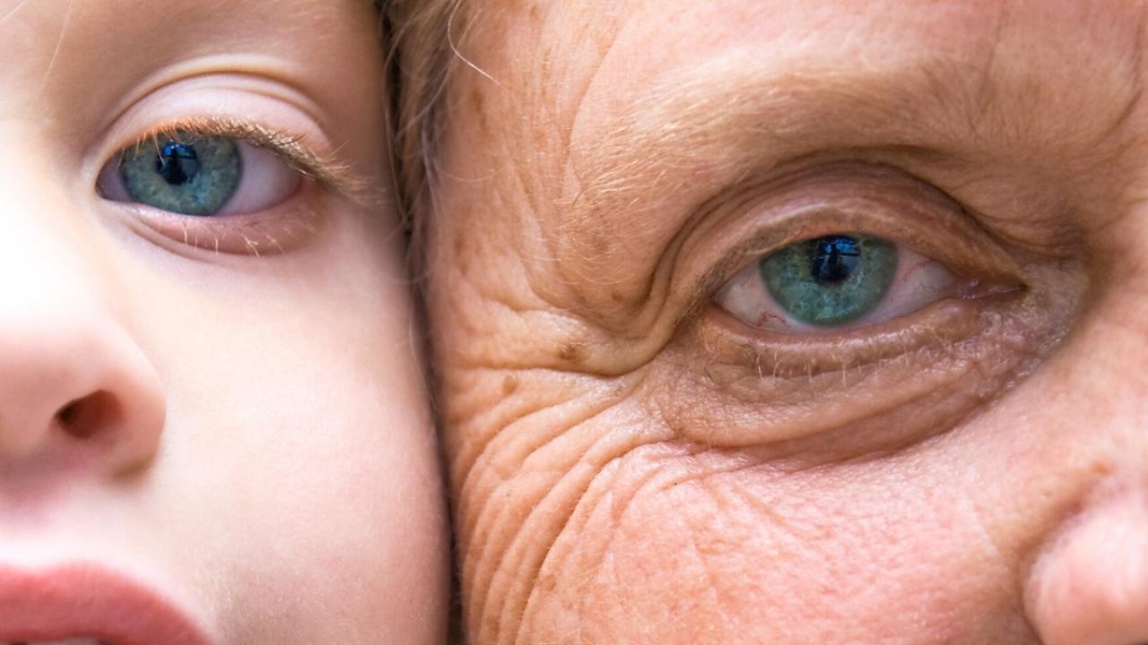 Biyolojik Sınırlar: Sonsuz Yaşam Neden Mümkün Değil?