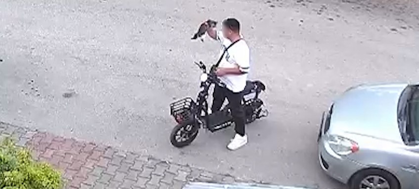 Bolu'da Yaşanan Hayvana Şiddet Olayı Tepki Çekti