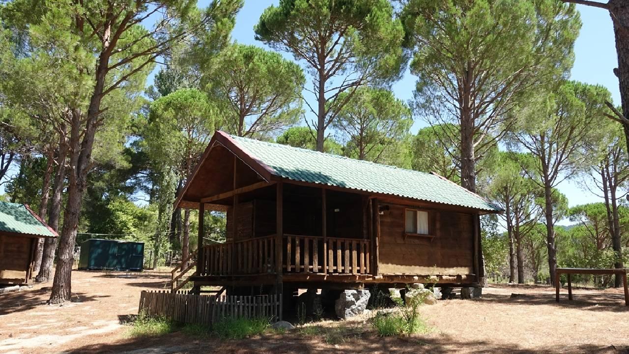 Bungalov Tuzağı! 210 Milyonluk Vurgun Yapan Çete Çökertildi!