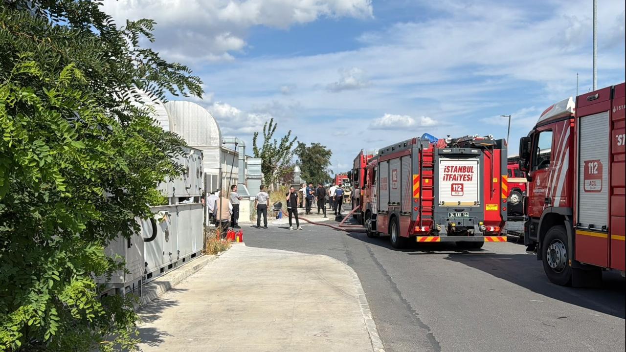 Cerrahpaşa Tıp Fakültesi Yerleşkesinde Yangın Paniği