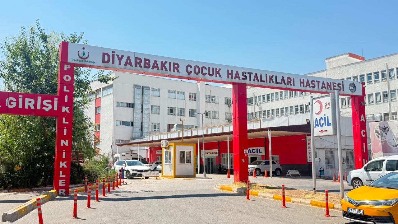 Diyarbakır'da Kuduz Vakası: Bölgede Sağlık Önlemleri Artırıldı