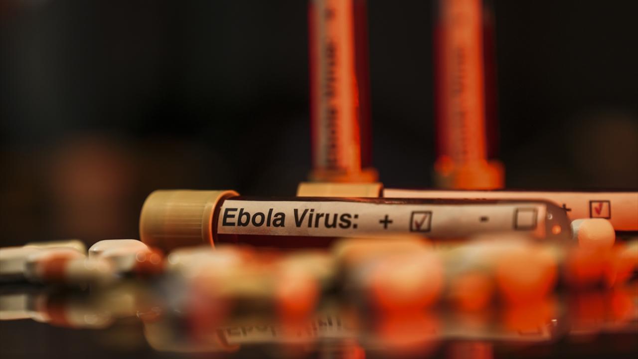 Ebola Alarmı! Batı'nın Kestiği Yardım Salgını Azdırabilir mi? Dünya Sağlık Örgütü Uyarıyor!