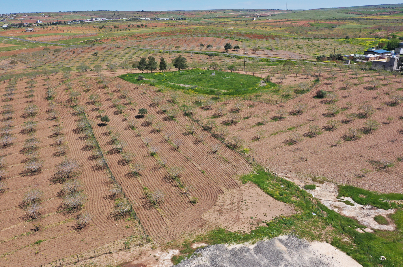 Göbeklitepe'nin Sırları Çözülüyor! Japon ve Çinli Arkeologlar Urfa'da Tarih Yazacak!