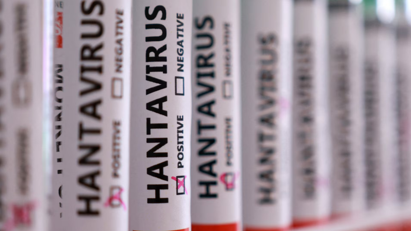 Hantavirüs Alarmı: Hangi Meslekler Ölümcül Virüse Daha Yakın? İşte Risk Altındaki Meslekler!