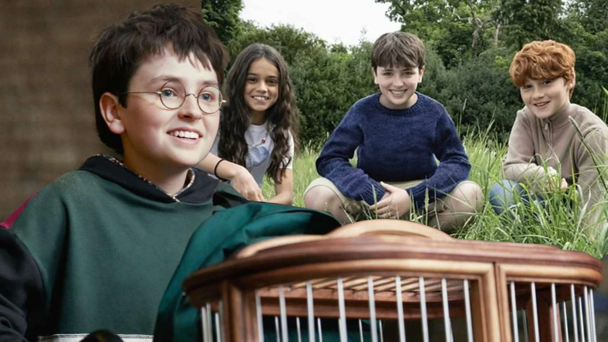 Harry Potter Dizisinde Gelişme: Gilderoy Lockhart Rolü İçin İsim Belli Oldu