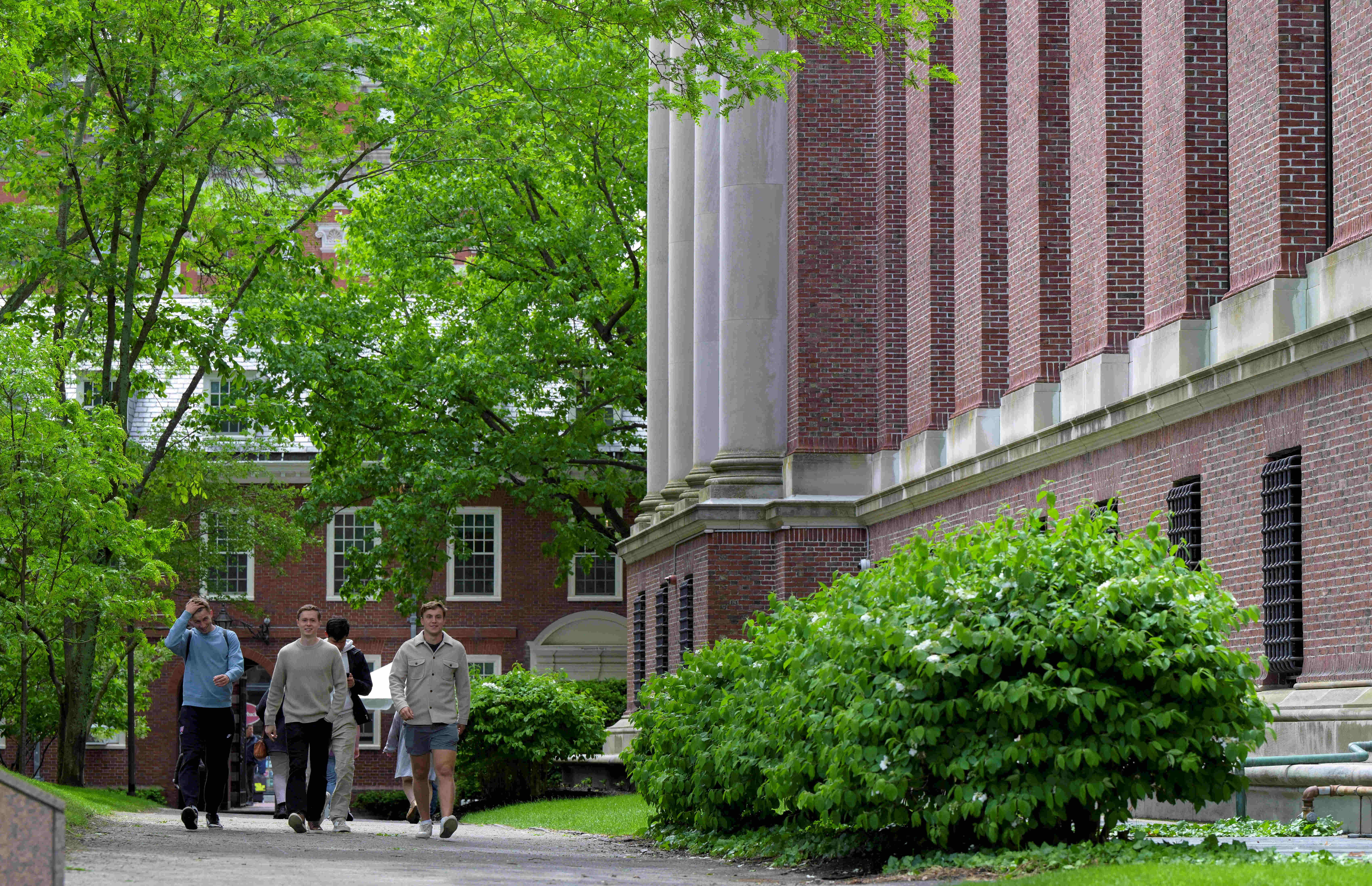 Harvard'dan Şok Karar! A Notu Almak Artık Daha Zor: Not Enflasyonuna Savaş Açıldı!