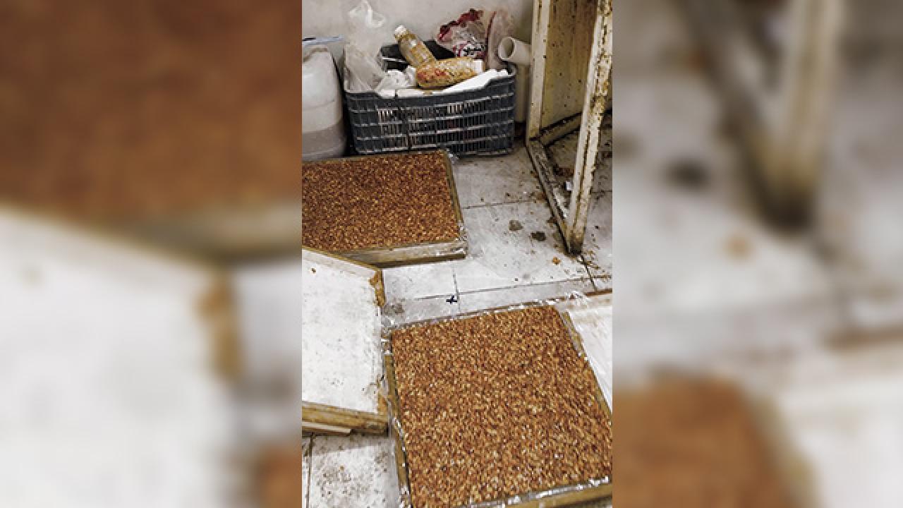 Hatay'da Şoke Eden Baskın! Kötü Koku Her Şeyi Ele Verdi