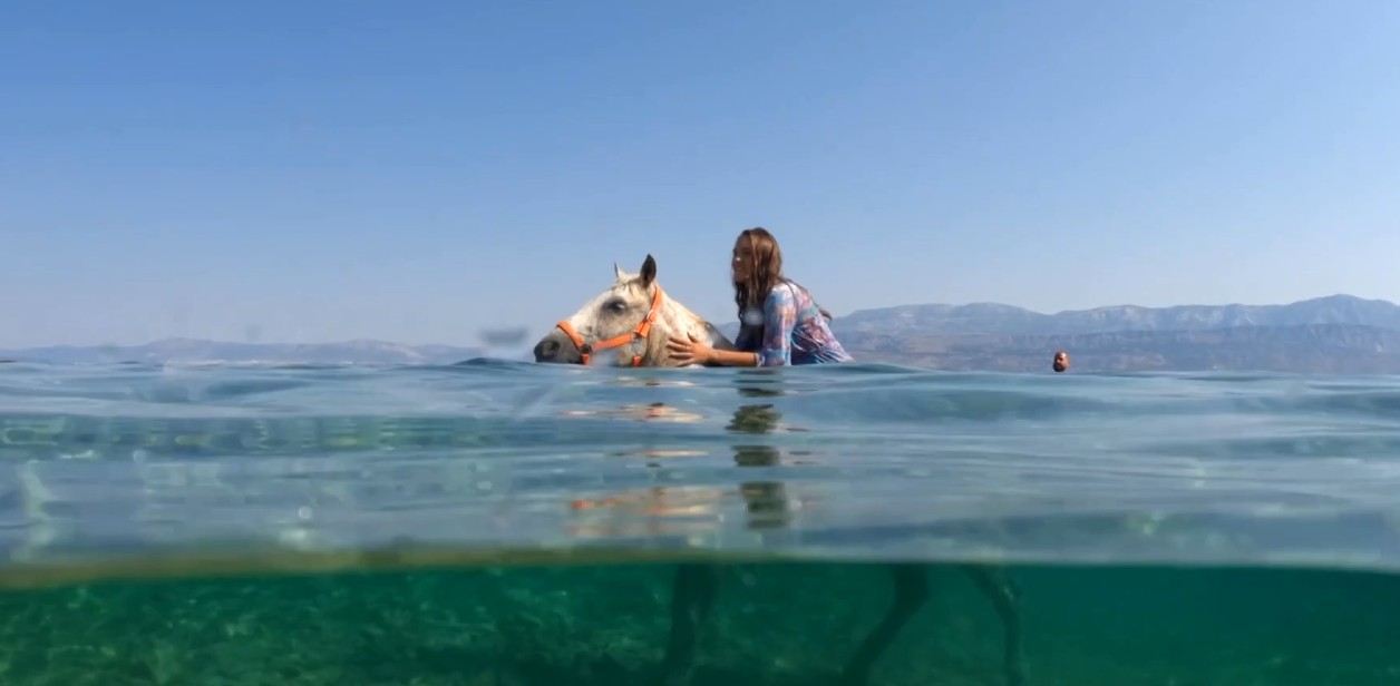 Hırvatistan'da Sıcaklarla Mücadele: Atlar ve Turistler Denize İniyor