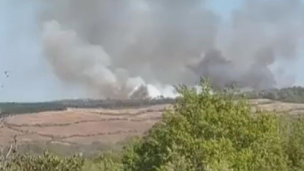 İstanbul Alarmda! Beykoz'da Orman Yangını: Alevler Yükseliyor, Ekipler Seferber Oldu!