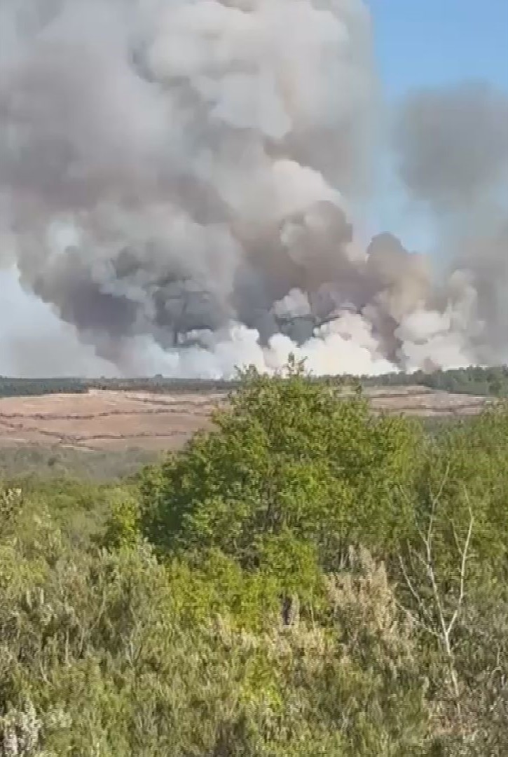 İstanbul Alarmda! Beykoz'da Orman Yangını Paniği: Alevler Kontrol Altına Alınabilecek mi?