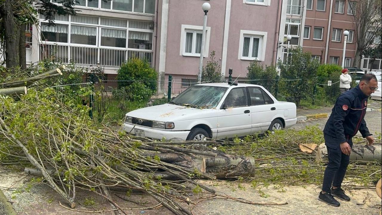 İstanbul'da Korkutan Anlar! Şiddetli Rüzgar Ağacı Devirdi, Otomobil Pert Oldu!