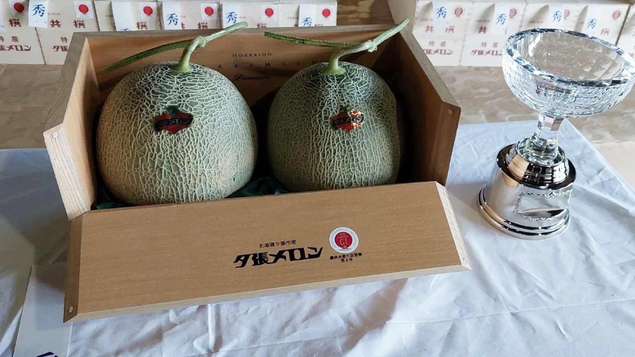 Japonya'da Şok! Bir Kavuna Servet Ödediler! Bu Kavun Altın Değerinde!