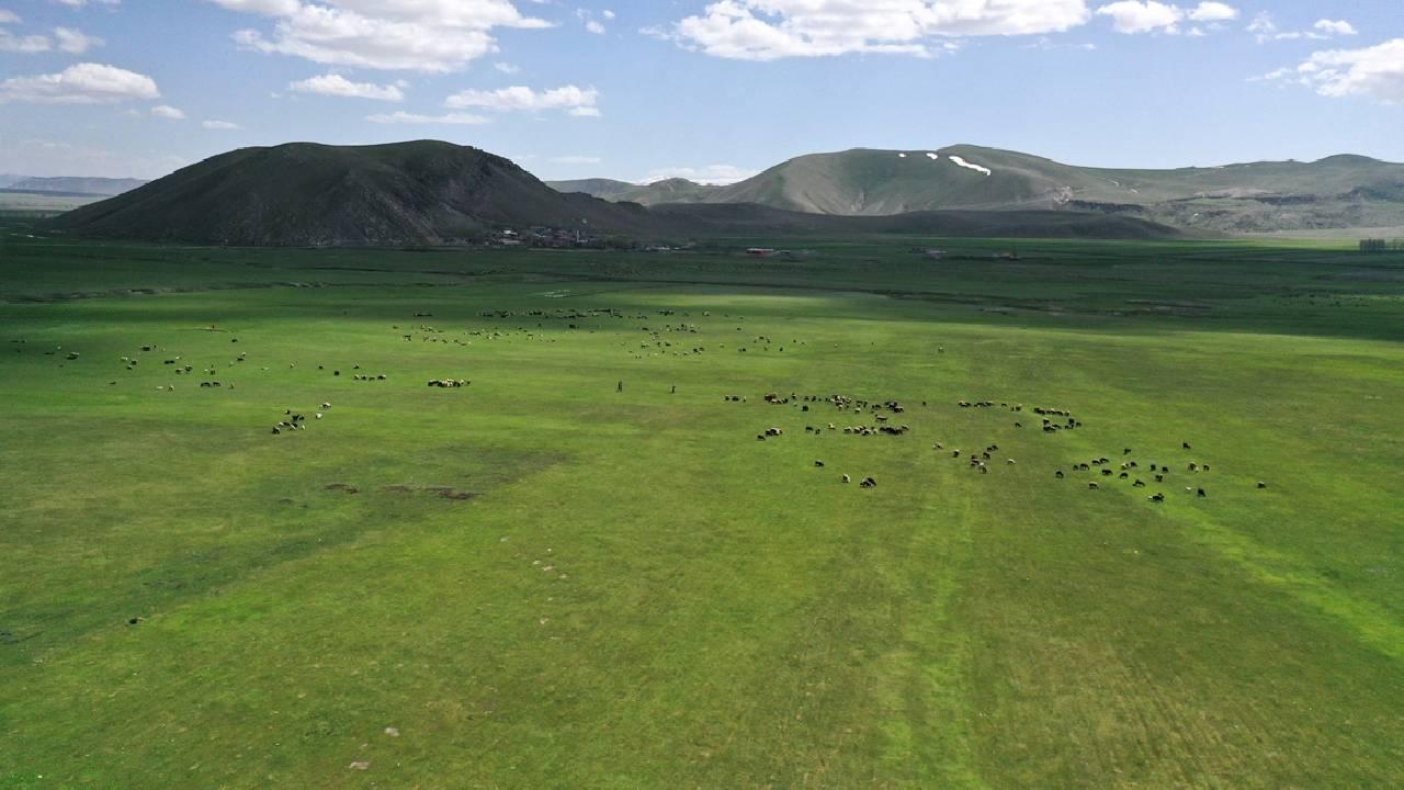 Kars'ta Meralar Yasaklandı Mı? Bakanlık Gerçeği Açıkladı!