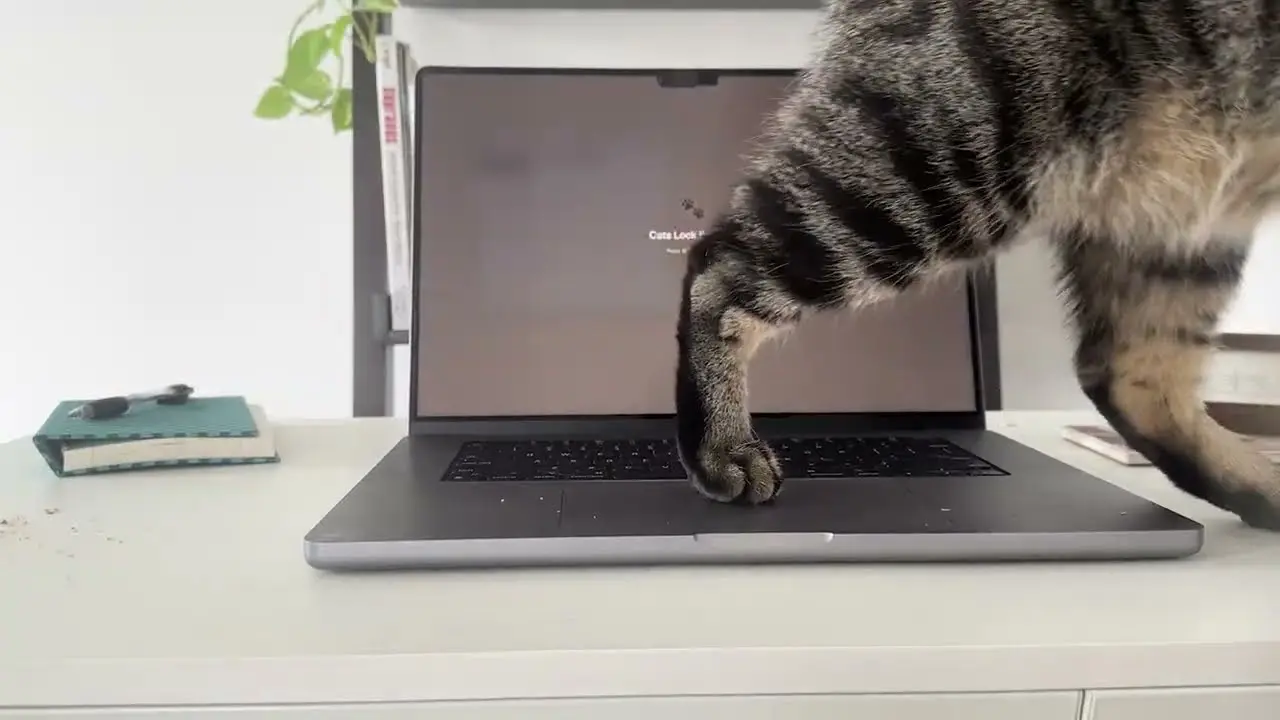 Kedi Severlere Müjde! Mac'iniz Artık Kedinizin Oyuncağı Olmayacak: İşte O Uygulama