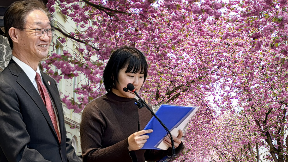 Kırşehir'den Japonya'ya Uzanan Sanat Köprüsü! Sakura Festivali'nde Büyükelçi Sürprizi!