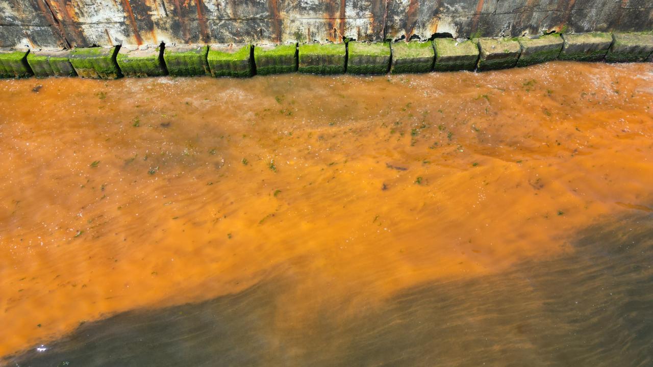 Kızıl Alarm! Marmara Denizi Kan Kırmızıya Döndü! Sebebi Şoke Etti!