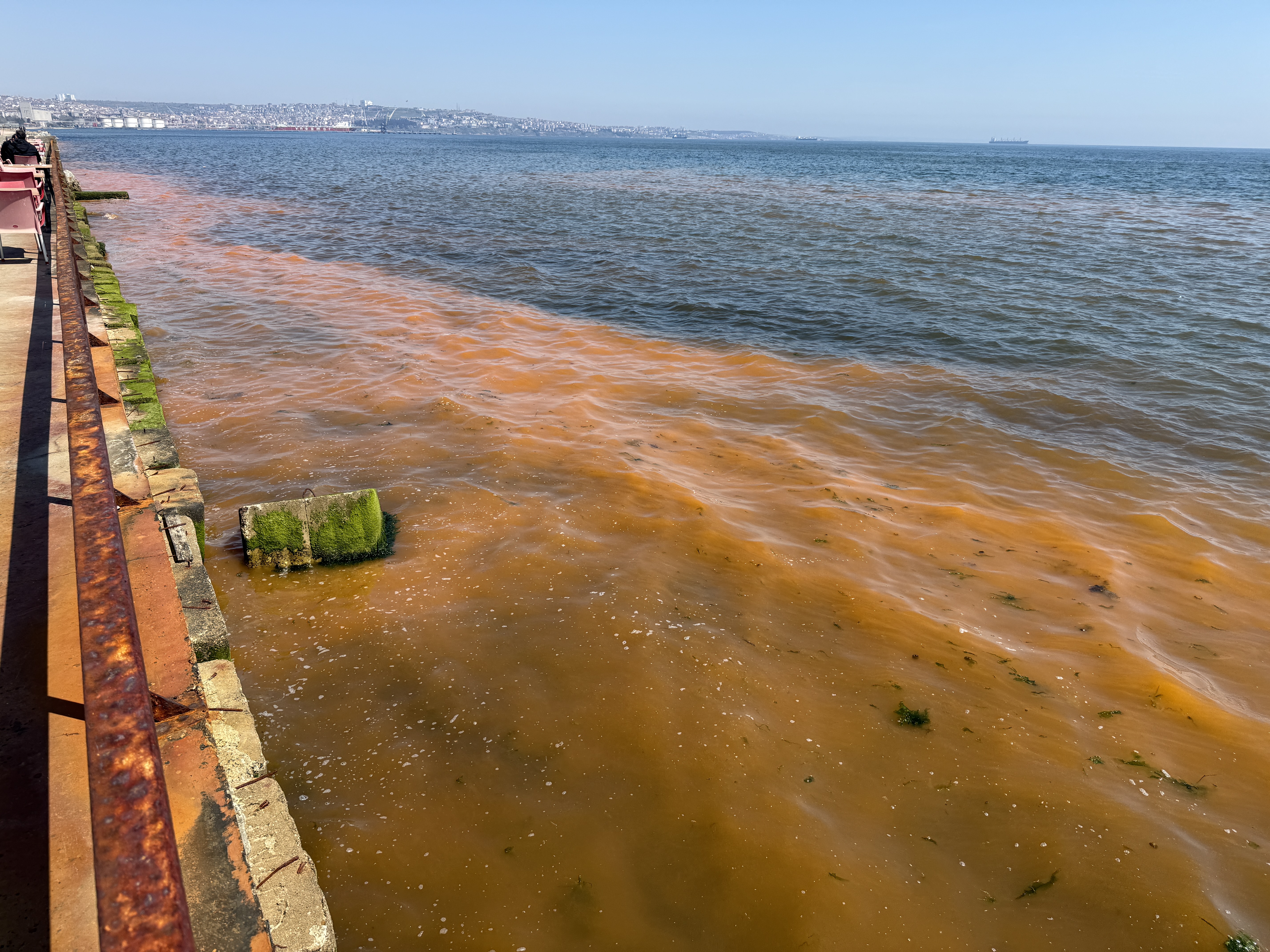 Kızıl Alarm! Tekirdağ Sahillerinde Deniz Turuncuya Döndü! Uzmanlar Sebebini Açıkladı!