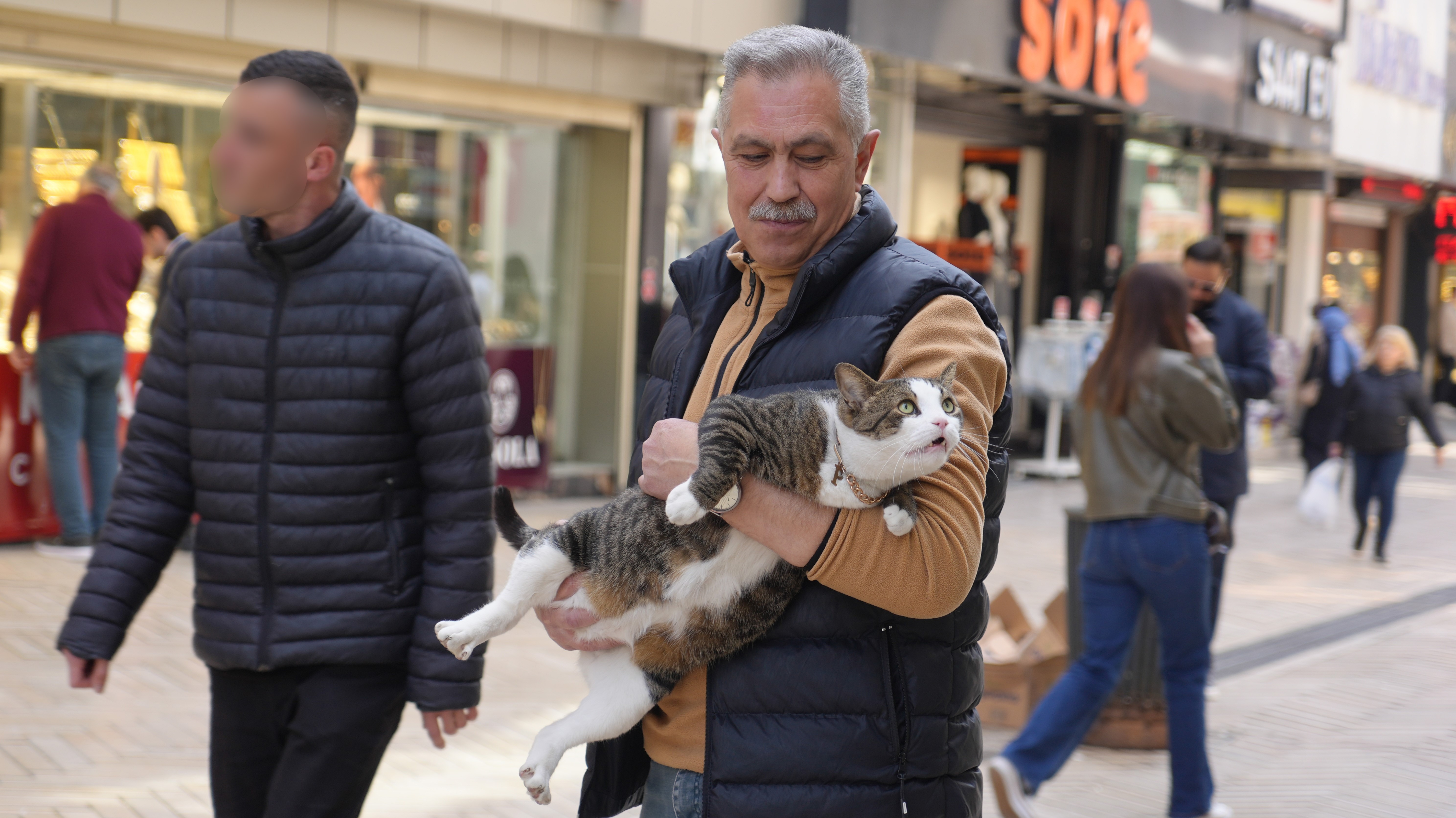 Kocaeli'nin Sevimli Maskotu 'Prens': Köpek Saldırısından Hayata Tutunan Kedi, Esnafın Gözdesi Oldu!