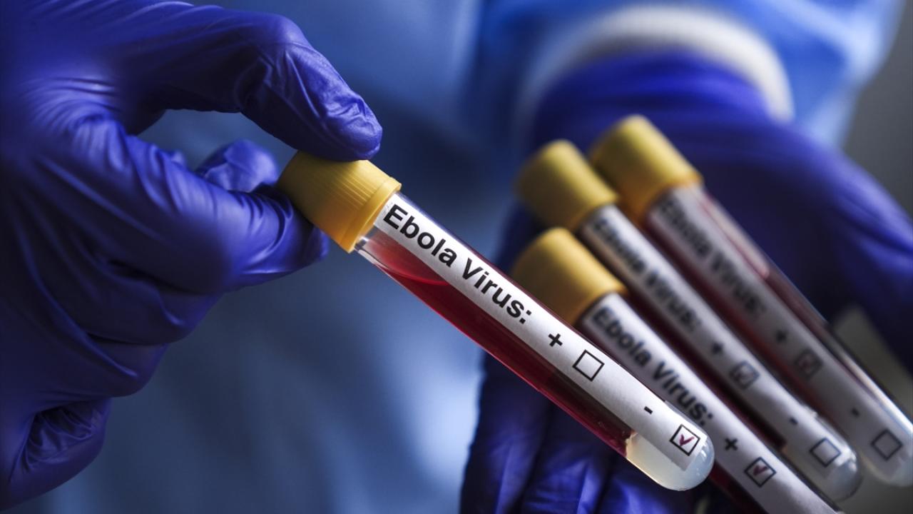 Kongo Demokratik Cumhuriyeti'nde Ebola Krizi: Vaka Sayısı 1561'e Ulaştı