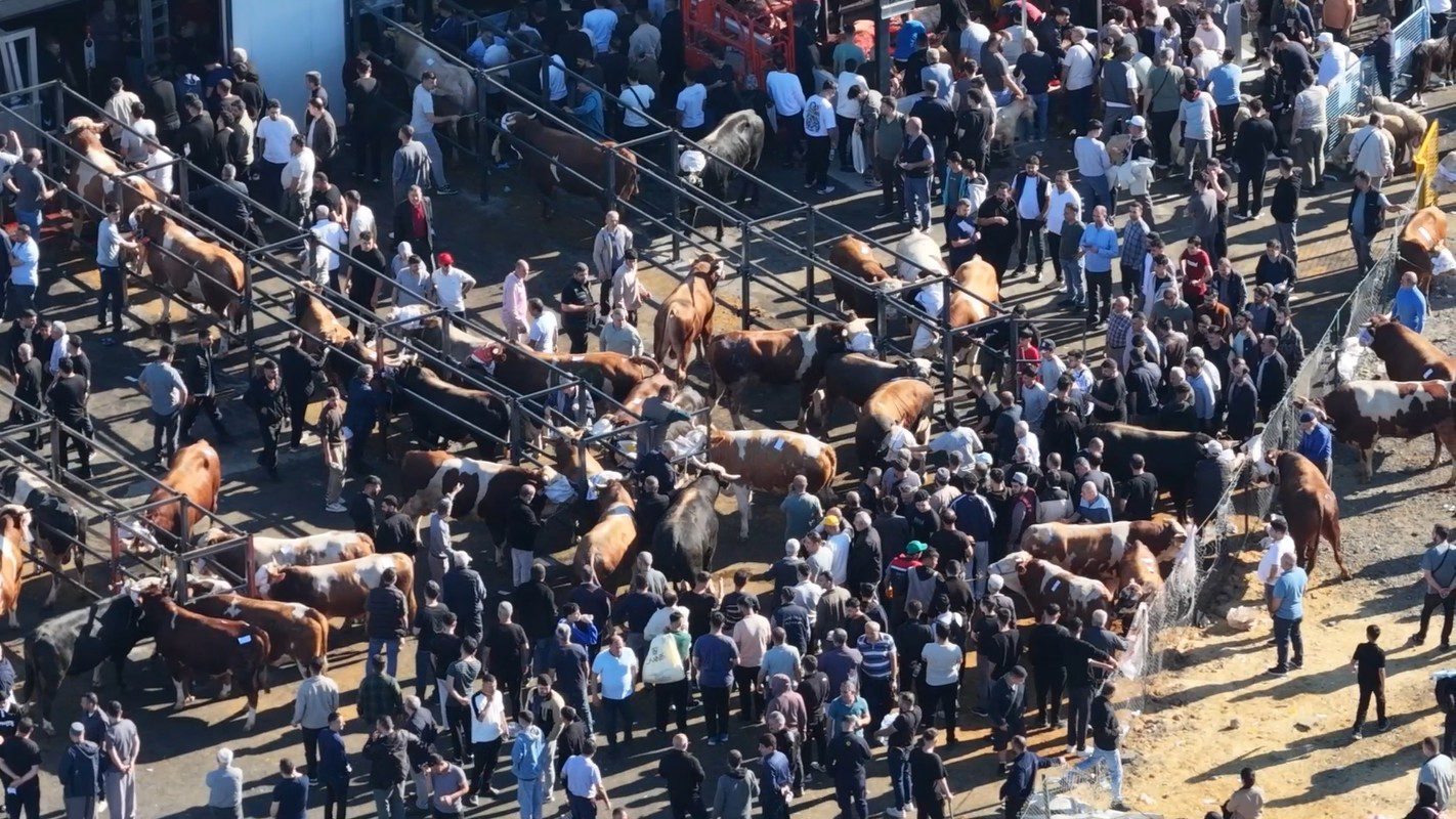 Kurban Kesim Alanları Bayram Yoğunluğuna Teslim! Drone Görüntüleri Gerçeği Gözler Önüne Serdi!