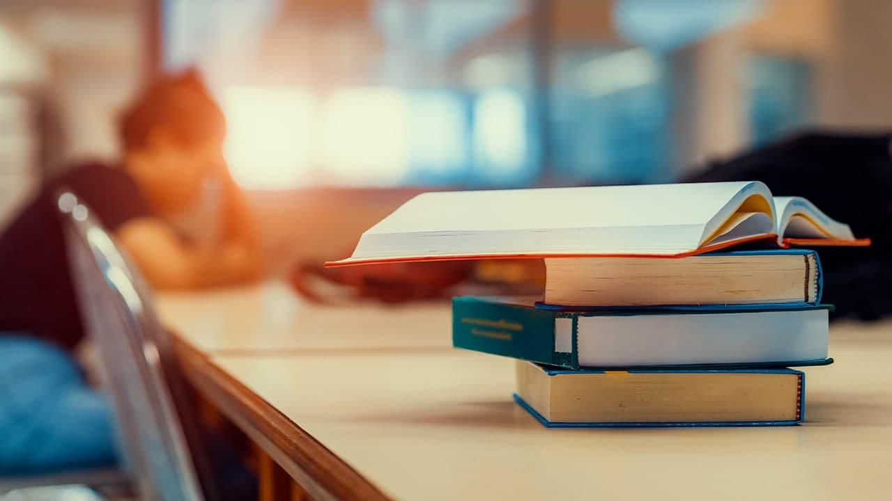 LGS İlk Yerleştirme Sonuçları Açıklandı: Doluluk Oranı Yüzde 95,76