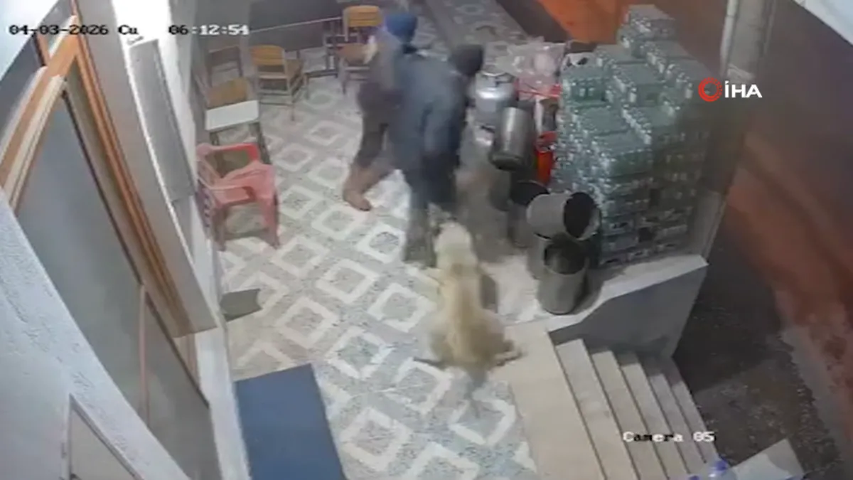 Manisa'da Dehşet! Köpek Saldırısı Sonucu Parmağı Koptu! Şok Eden Detaylar...