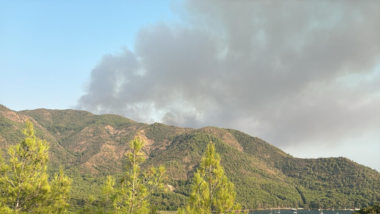 Marmaris'te Orman Yangını: Ekipler Alevlere Karşı Mücadele Veriyor