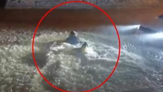 Midyat'ta Şok Eden Anlar! Sağanak Sokağı Göle Çevirdi, Vatandaş Yüzerek Karşıya Geçti!