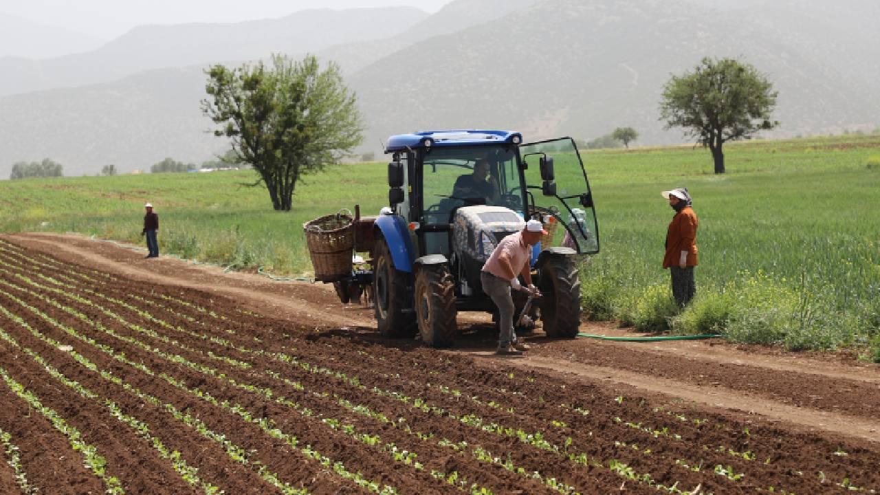 Müjde! Çiftçinin Yüzü Gülecek: Destek Ödemeleri Hesaplara Yatıyor!