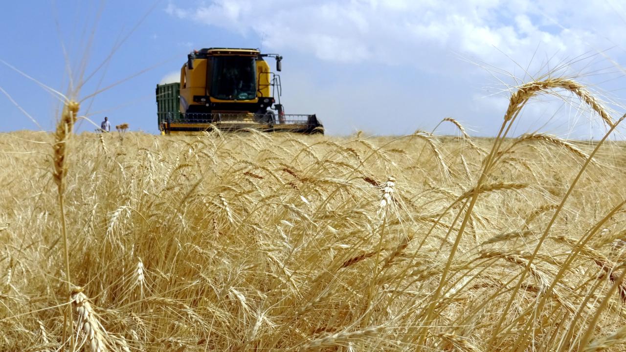 Müjde! Çiftçiye Destek Yağmuru Başlıyor! Hesaplara 1.4 Milyar Lira Yatacak!