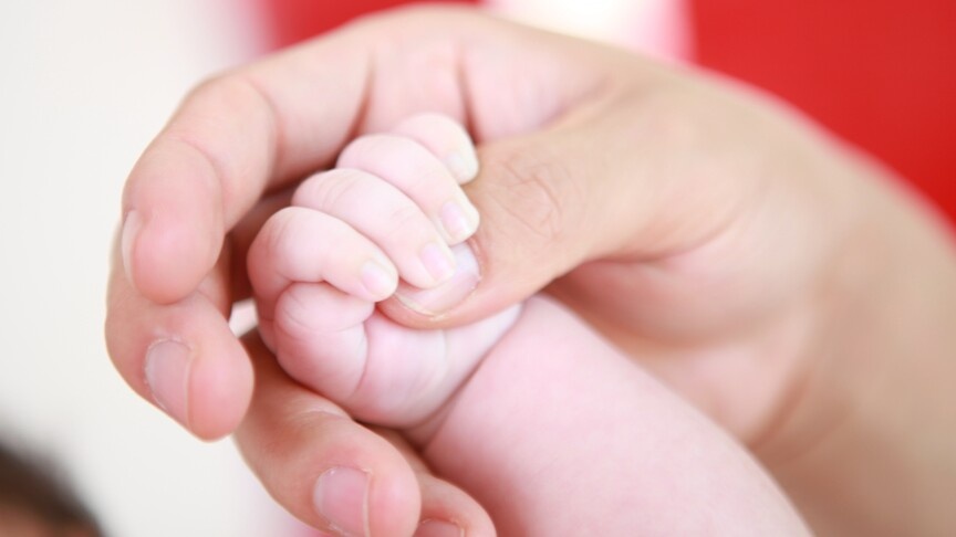 Müjde! Doğum İzni 24 Haftaya Çıktı! Başvurular Başladı: İşte Bilmeniz Gereken Her Şey