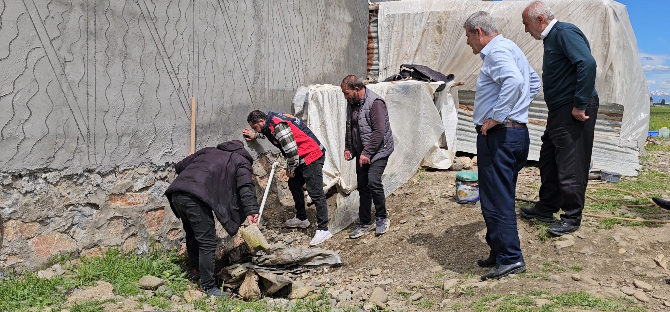 Muş'ta Dehşet Anları! 3 Metrelik Yılan Mahallede Paniğe Neden Oldu!