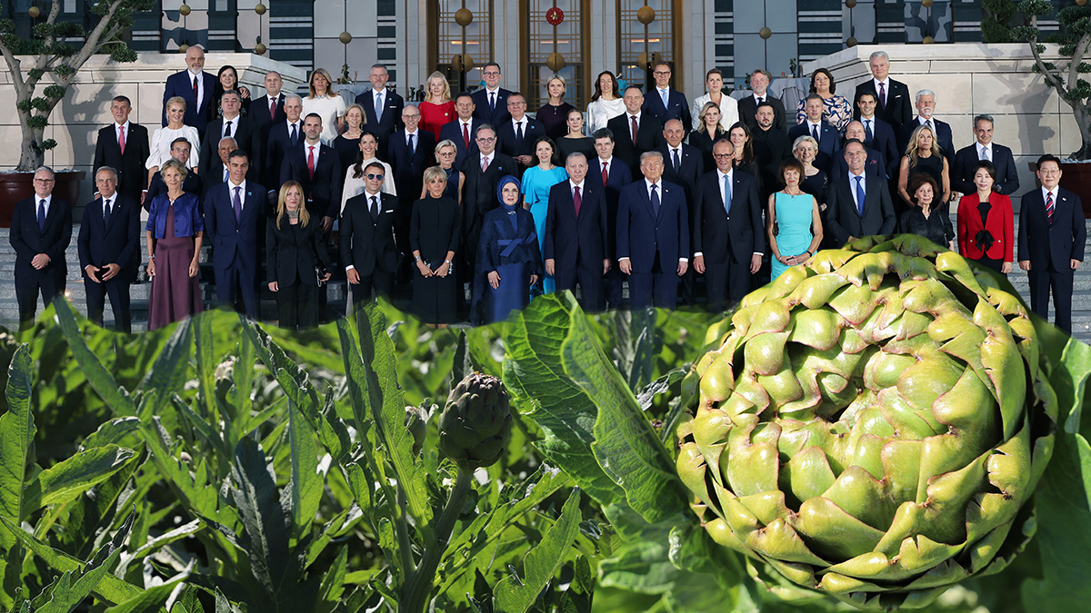 NATO Zirvesi'nde Gastronomi Diplomasisi: Urla'nın Sakız Enginarı Dünya Liderlerinin Sofrasında