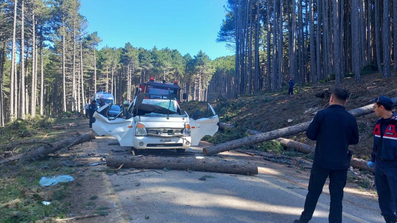 Ölümcül Kaza! Bursa'da Ağaç Katliamı Faciası: Kamyonetin Üzerine Devrildi!