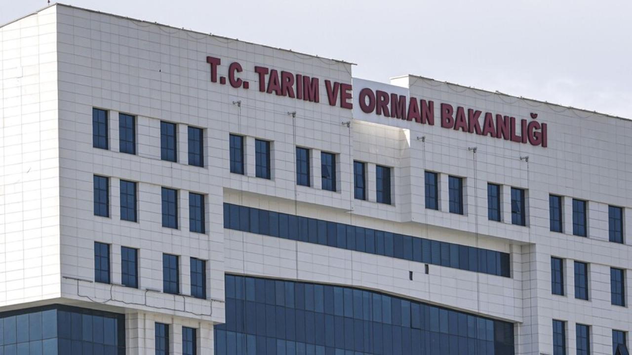 Piyasaya Sürülen Peynirde Uygunsuzluk: Bakanlıktan Toplatma Kararı