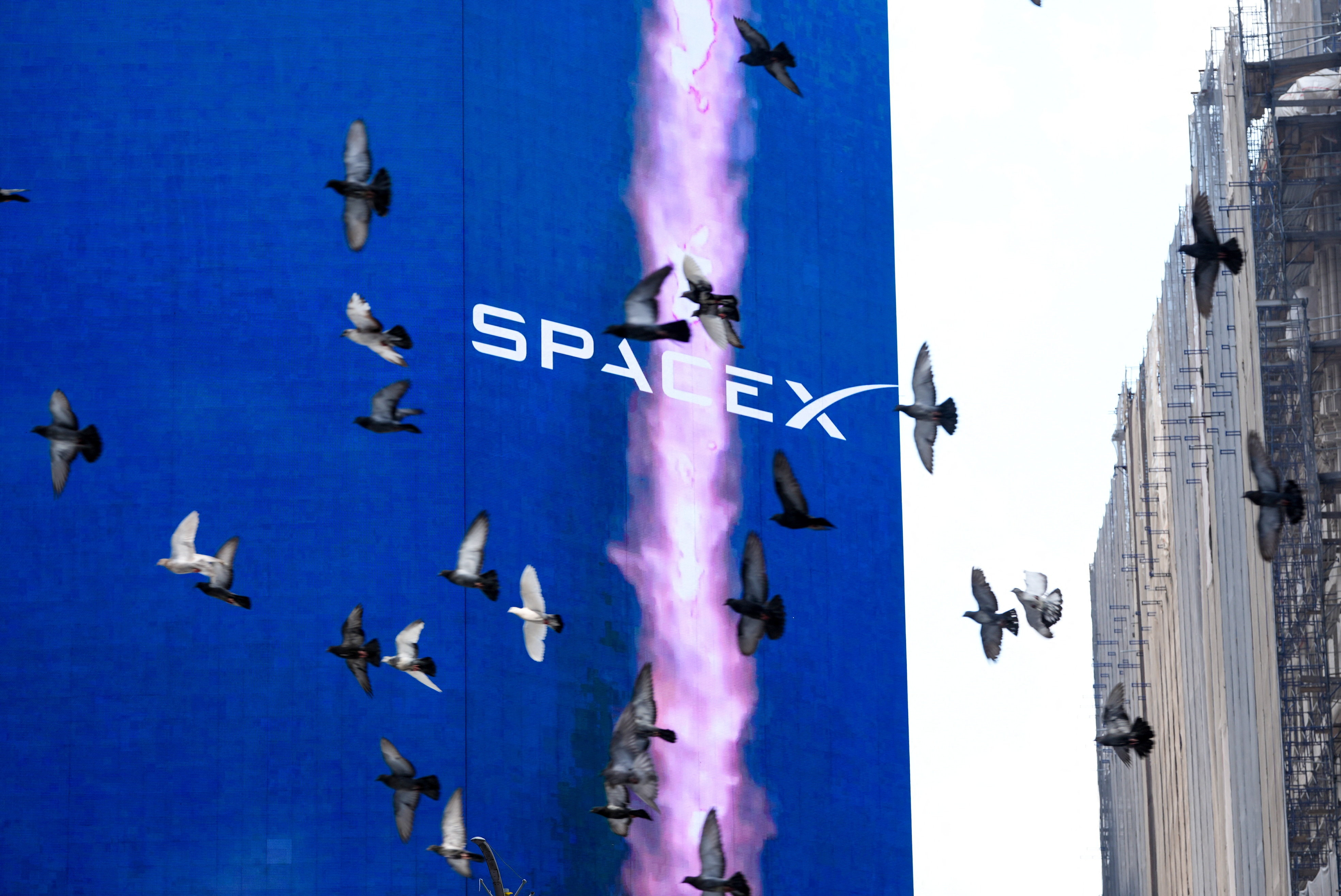 SpaceX'in Finansal Tablosu: Piyasa Değerinde Büyük Kayıp