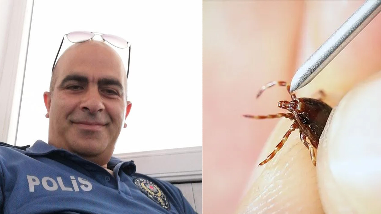 Tokat'ta Kene Kaynaklı Sağlık Sorunu: Bir Can Kaybı