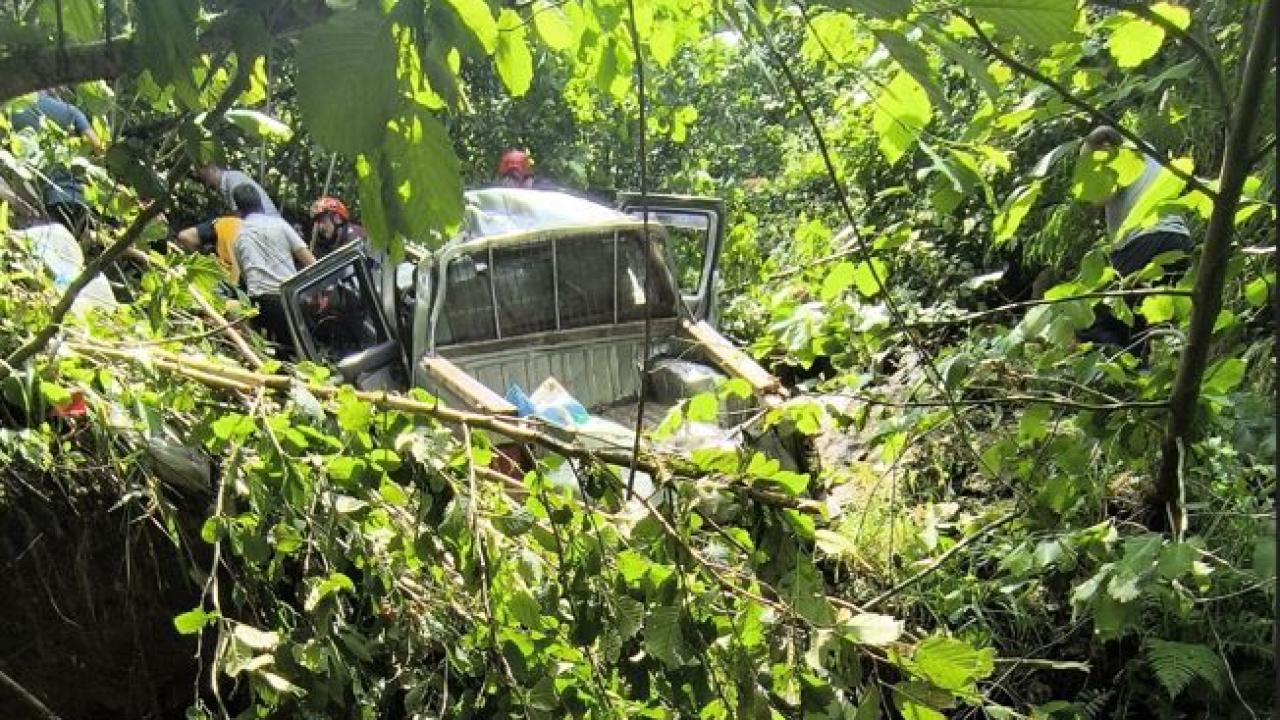 Trabzon'da Trafik Kazası: Kamyonet Fındık Bahçesine Devrildi